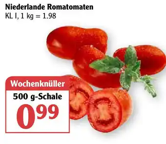 Globus Niederlande Romatomaten 500g Angebot