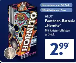 Aldi Süd WECO Fontänen-Batterie ,,Hornito Angebot