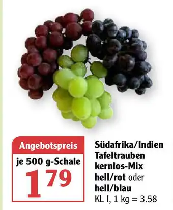 Globus Südafrika/Indien Tafeltrauben kernlos Mix hell/rot oder hell/blau 500g Angebot