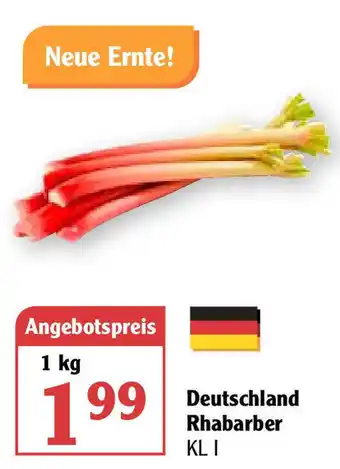 Globus Deutschland Rhabarber 1kg Angebot