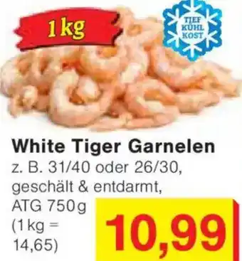 Jawoll White Tiger Garnelen Angebot