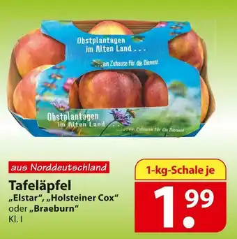 Famila Nord Ost Tafeläpfel „elstar“, „holsteiner cox“ oder „braeburn“ Angebot