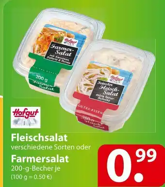 Famila Nord Ost Hofgut fleischsalat oder farmersalat Angebot