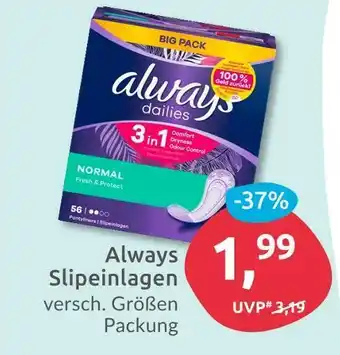 Budni Always slipeinlagen Angebot