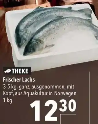 CITTI Markt Frischer Lachs Angebot