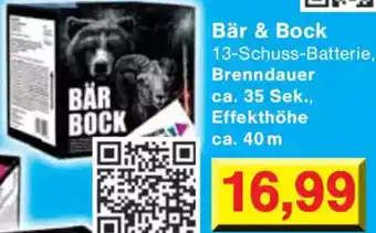 Wiglo Wunderland Bär & Bock Angebot