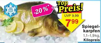 Wiglo Wunderland Spiegelkarpfen Angebot