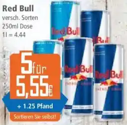 Klaas und Kock Red Bull Angebot