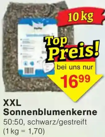 Wiglo Wunderland XXL Sonnenblumenkerne Angebot