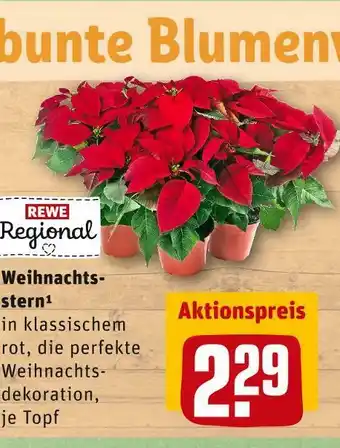 REWE Rewe regional weihnachtsstern Angebot