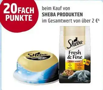 REWE Payback 20 fach punkte Angebot