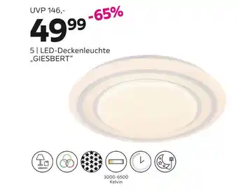 Mömax Led-deckenleuchte, „giesbert“ Angebot