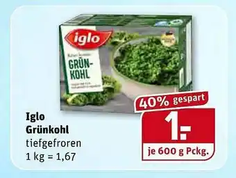 REWE Iglo Grünkohl Angebot