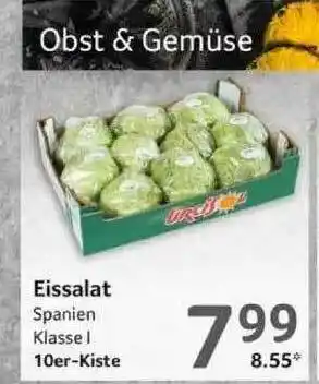 Selgros Eissalat Angebot