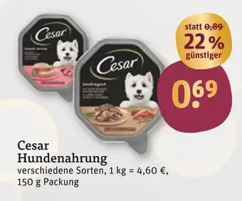 tegut Cesar hundenahrung Angebot