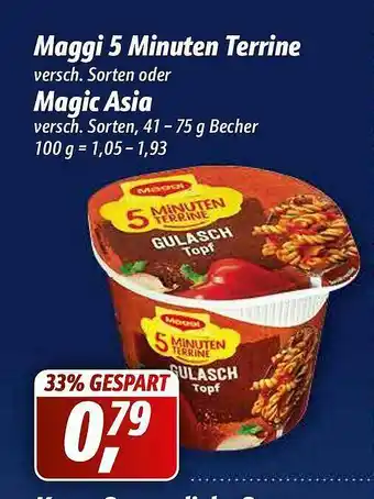 Simmel Maggi 5 Minuten Terrine Oder Magic Asia Angebot