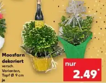 Kaufland Moosfarn dekoriert Angebot