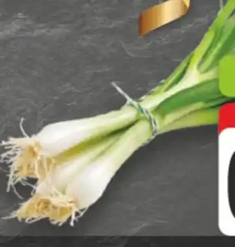 E-Center Lauchzwiebeln Angebot
