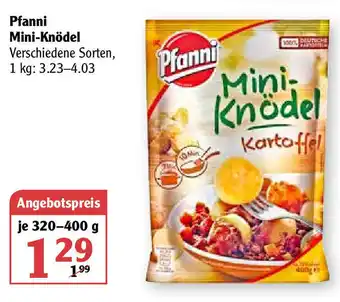 Globus Pfanni Mini Knödel 320-400g Angebot