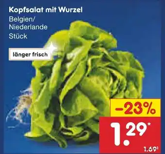 Netto Marken-Discount Kopfsalat mit Wurzel Angebot