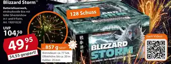 Sonderpreis Baumarkt Blizzard Storm Angebot