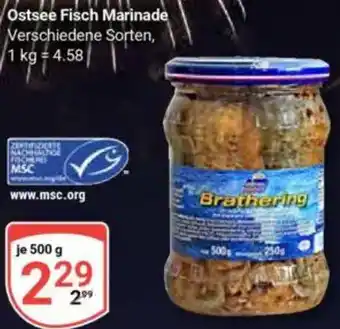 Globus Ostsee Fisch Marinade Angebot