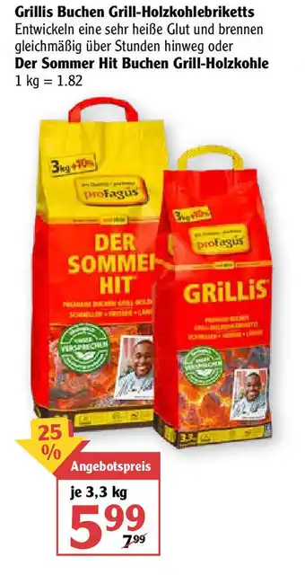 Globus Grillis Buchen Grill Holzkohlebriketts oder Der Sommer Hit Buchen Grill Holzkohle 3,3kg Angebot