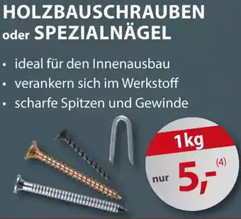 Sonderpreis Baumarkt Holzbauschrauben oder spezialnägel Angebot