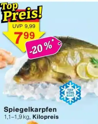 Jawoll Spiegelkarpfen Angebot