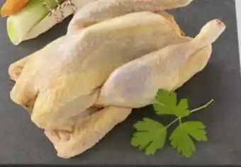 Edeka Suppenhuhn Angebot