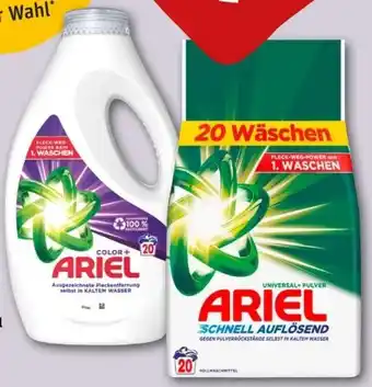 REWE Center Pulver Regular Angebot