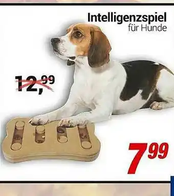 CENTERSHOP Intelligenzspiel Angebot