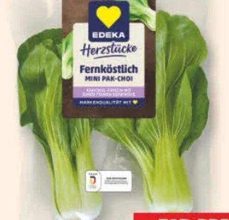 Mini Pak Choi Angebot bei Edeka