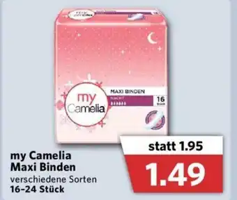 Combi My Camelia Maxi Binden Angebot