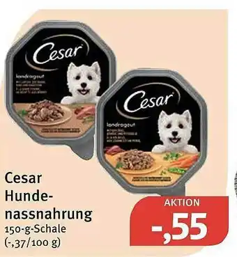 Feneberg Cesar Hundenassnahrung Angebot