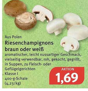 Feneberg Riesenchampignons Braun Oder Weiß Angebot