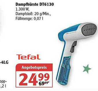 Globus Tefal Dampfbürste Dt6130 Angebot