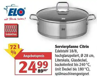 Globus Servierpfanne Citrin Elo Angebot