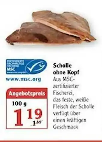 Globus Scholle Ohne Kopf Angebot