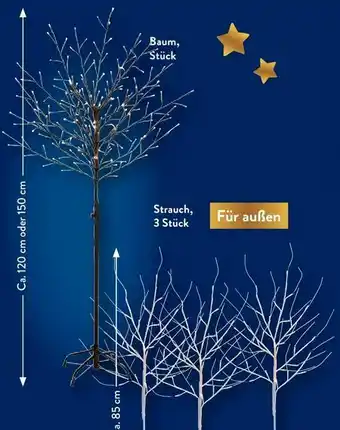 Aldi Nord LED Lichtbaum Angebot