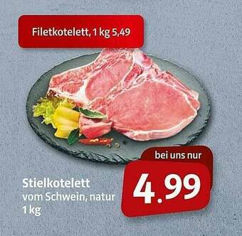 Markant Stielkotelett Angebot