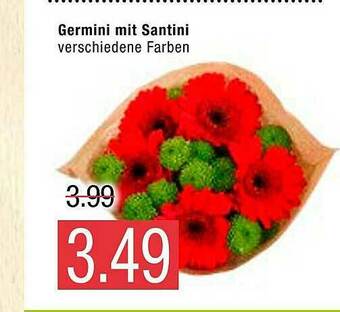 Marktkauf Germini Mit Santini Angebot