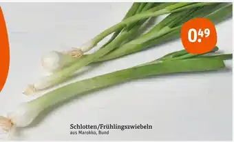 tegut Schlotten/frühlingszwiebeln Angebot