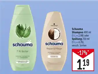 Marktkauf Schauma shampoo oder spülung Angebot