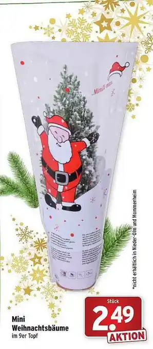 Wasgau Mini Weihnachtsbäume Angebot