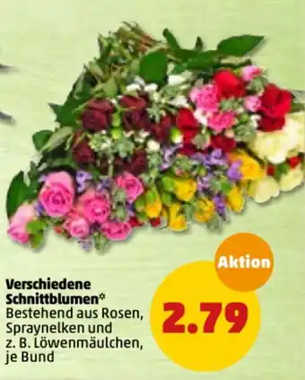 PENNY Verschiedene Schnittblumen Angebot