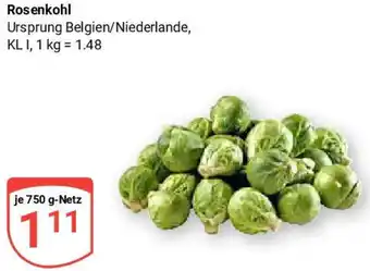 Globus Rosenkohl Angebot