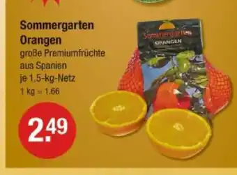 V Markt Sommergarten orangen Angebot