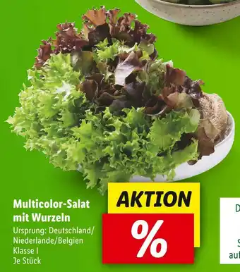 Lidl Aktion Angebot