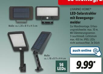 Lidl Livarno home led-solarstrahler Angebot
